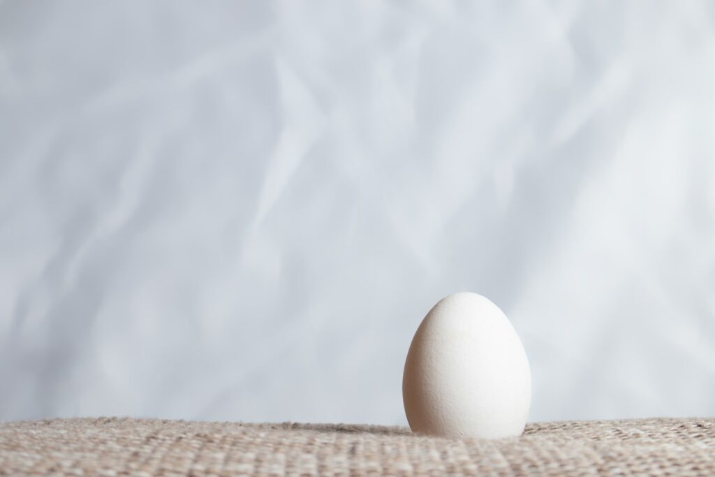 white egg on brown woven basket